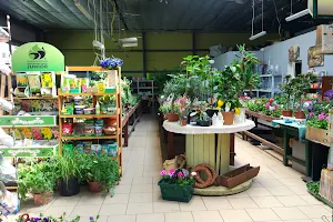 Garden center and garden store Inter-Plant image