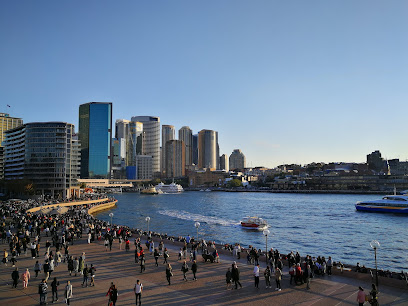 Sydney Harbour Live