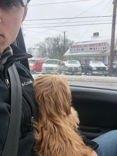 Used Car Dealer «American Imports Inc», reviews and photos, 8606 Pendleton Pike, Indianapolis, IN 46226, USA