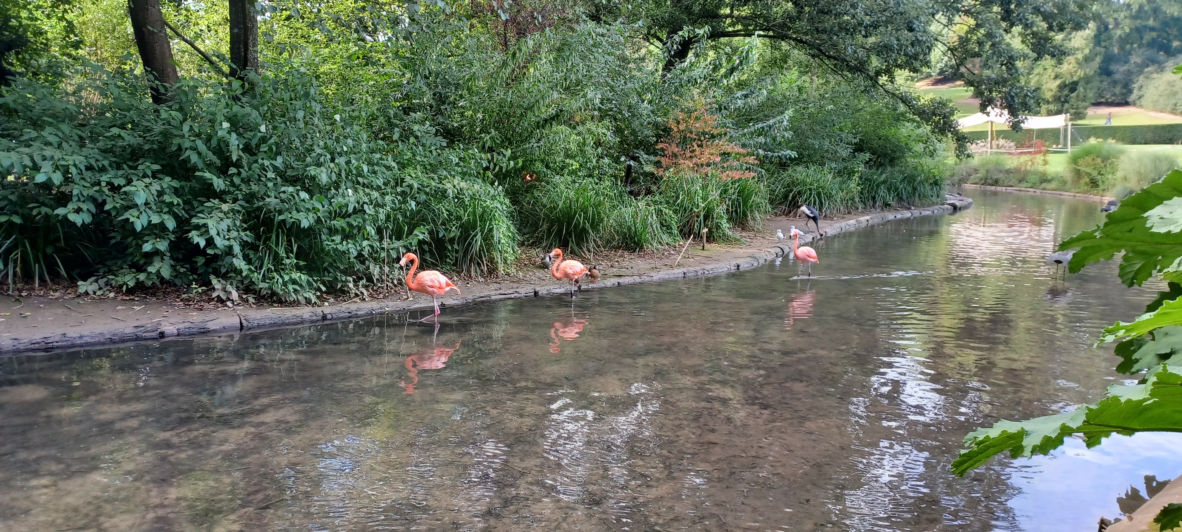 Photo n° 3 de l'avis de Marie-jose.e fait le 22/09/2021 à 19:26