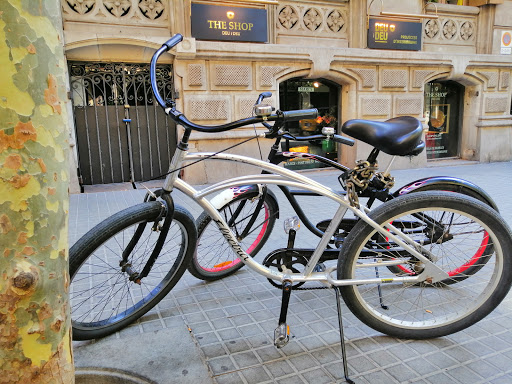 Cruising Barcelona Bike Tours