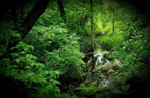 Golf Club «Heritage Links Golf Club», reviews and photos, 8075 Lucerne Blvd, Lakeville, MN 55044, USA