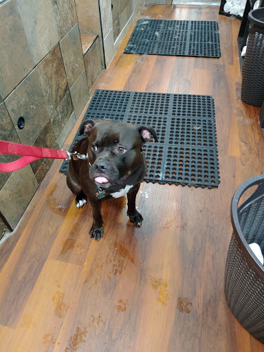 Pet Supply Store «Pet Valu», reviews and photos, 5007 Honeygo Center Dr, Perry Hall, MD 21128, USA