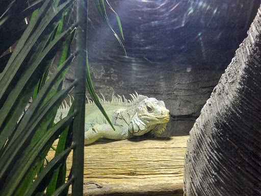 Aquarium «Wonders Of Wildlife National Museum & Aquarium», reviews and photos, 500 W Sunshine St, Springfield, MO 65807, USA