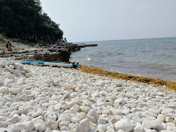 Coala beach'in fotoğrafı doğal alan içinde bulunmaktadır