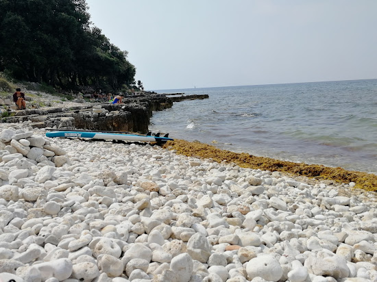 Coala beach
