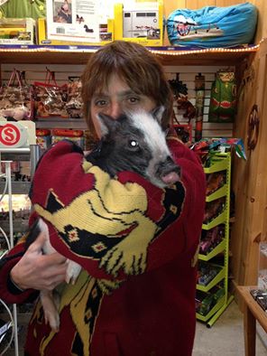 Animal Rescue Service «Ray of Light Farm Inc», reviews and photos, 232 Town St, East Haddam, CT 06423, USA