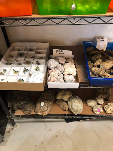 Gift Shop «Stone Hut Fossil Shop», reviews and photos, 1184 FM 205, Glen Rose, TX 76043, USA