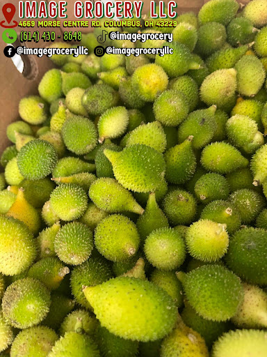 Asian Grocery Store «Image Grocery LLC», reviews and photos, 4669 Morse Centre Rd, Columbus, OH 43229, USA