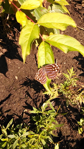 Gift Shop «Minnesota Zoo Gift Shop», reviews and photos, 13000 Zoo Blvd, Apple Valley, MN 55124, USA