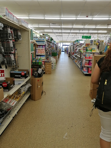 Dollar Store «Dollar Tree», reviews and photos, 918 E New York St #130, Aurora, IL 60505, USA