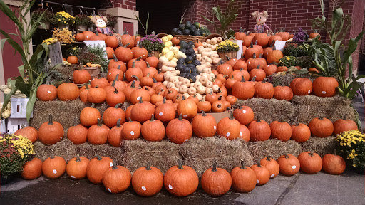 Supermarket «Price Chopper», reviews and photos, 113 Chestnut St, Cooperstown, NY 13326, USA