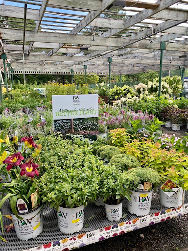 Pet Supply Store «Agway of Manchester», reviews and photos, 33 Adams St, Manchester, CT 06042, USA