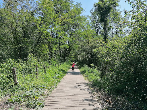 Parc naturel de la Feyssine