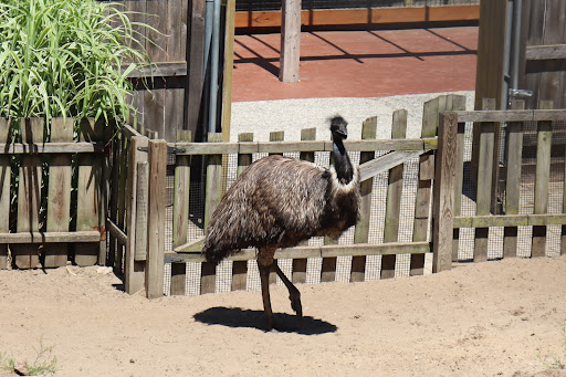 Zoo «Washington Park Zoo», reviews and photos, 115 Lake Shore Dr, Michigan City, IN 46360, USA