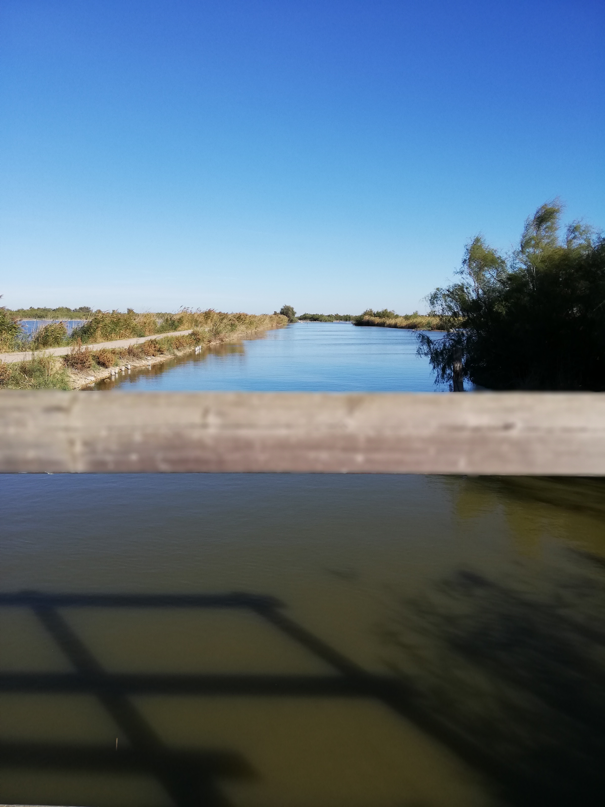 Photo n° 6 de l'avis de Sarah.o fait le 24/10/2018 à 15:20