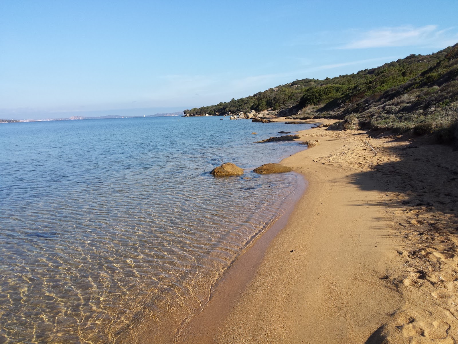 Dog Beach'in fotoğrafı geniş ile birlikte