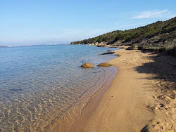 Dog Beach'in fotoğrafı geniş ile birlikte