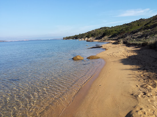 Dog Beach