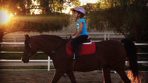 Horse trainer Moreno Valley