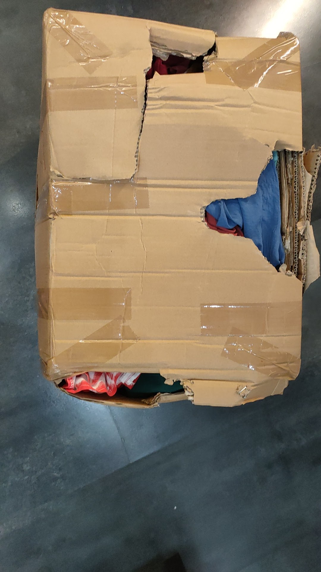 Photo n° 2 de l'avis de PAUL.E fait le 20/08/2021 à 04:30