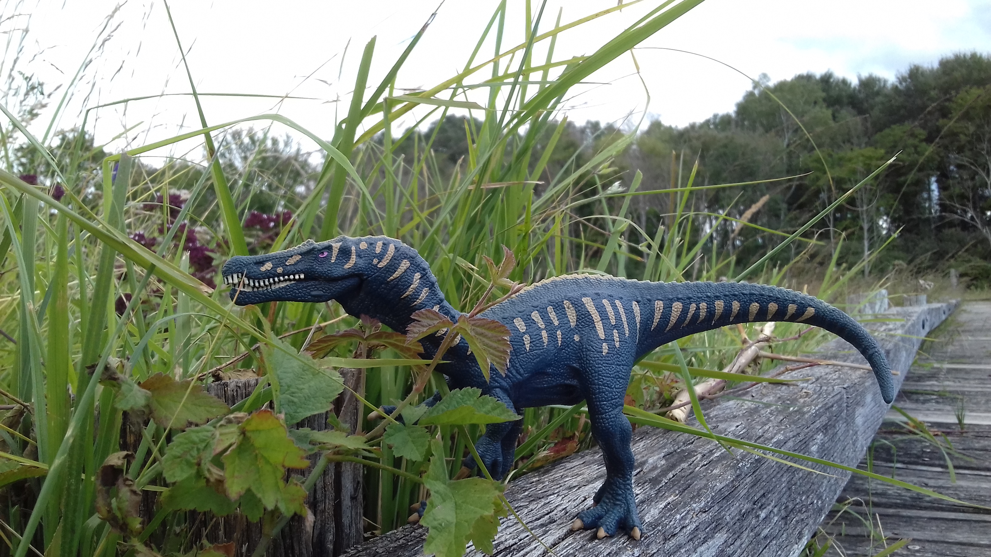 Photo n° 2 de l'avis de Tttt.t fait le 27/08/2021 à 19:31