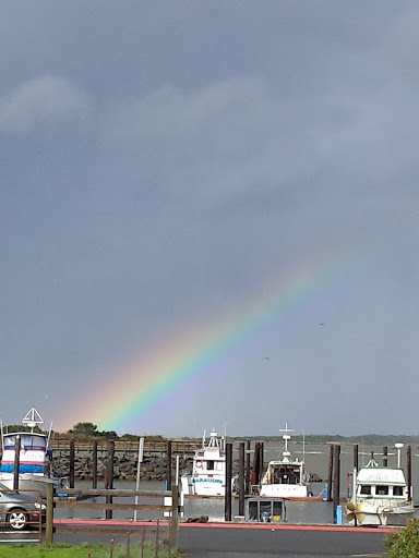 Coffee Shop «Bandon Coffee Cafe», reviews and photos, 365 2nd St SE, Bandon, OR 97411, USA