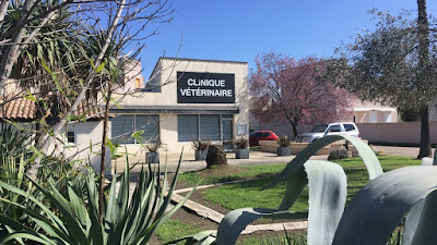 clinique veterinaire de moriani à San-Nicolao