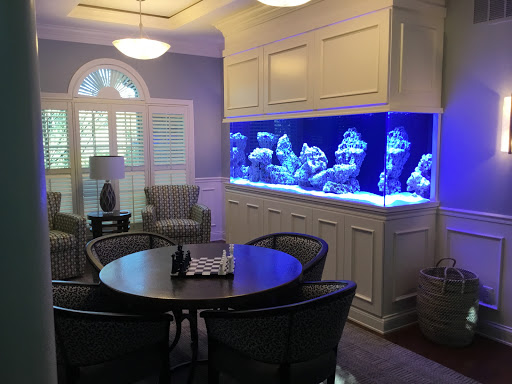 Tropical Fish Store «Aquarium Artisans», reviews and photos, 8005 Plainfield Rd #11, Cincinnati, OH 45236, USA