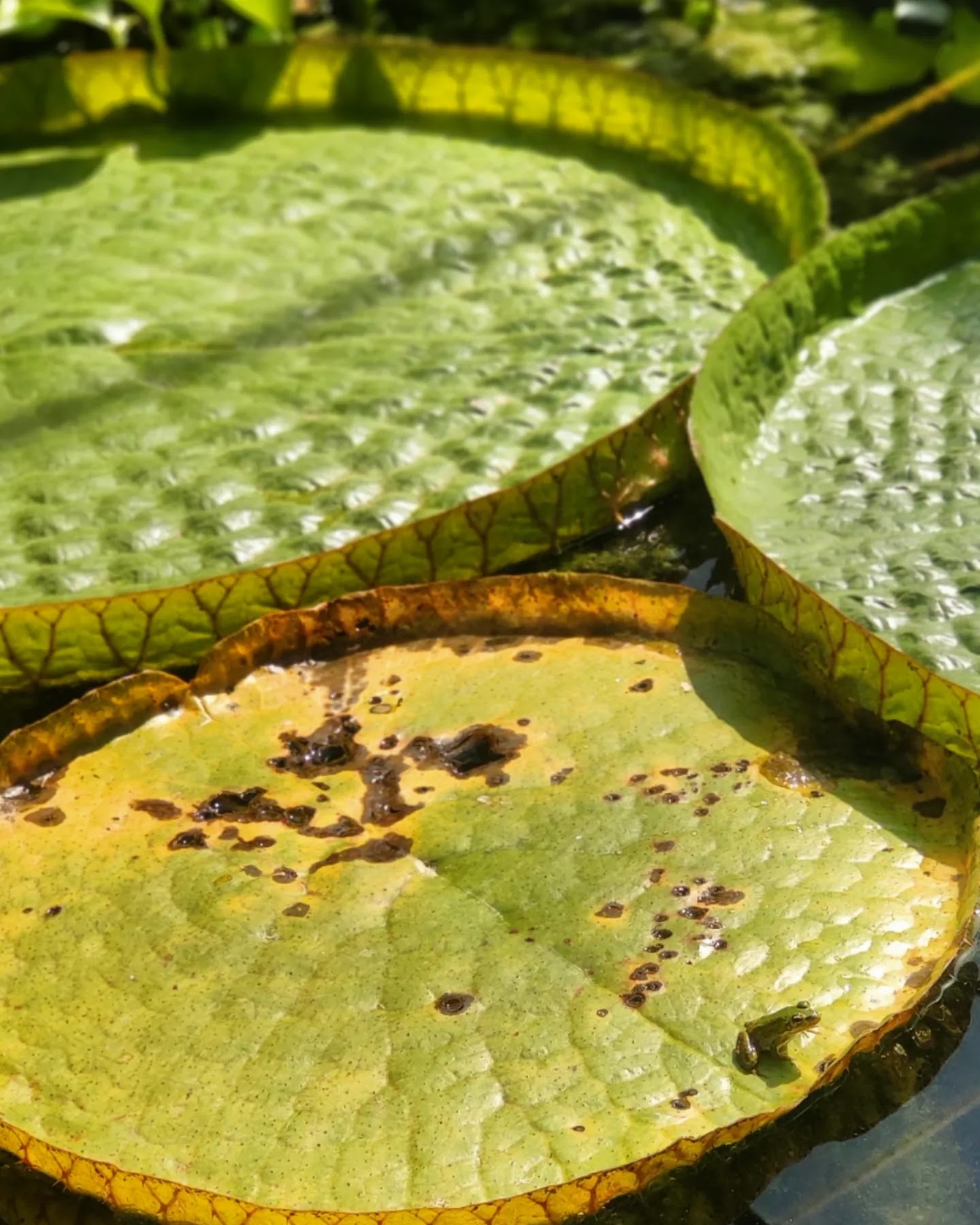 Photo n° 5 de l'avis de Tetyana.m fait le 23/08/2023 à 18:12