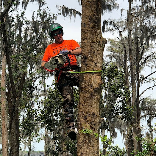 The Heart of Wood Tree Service