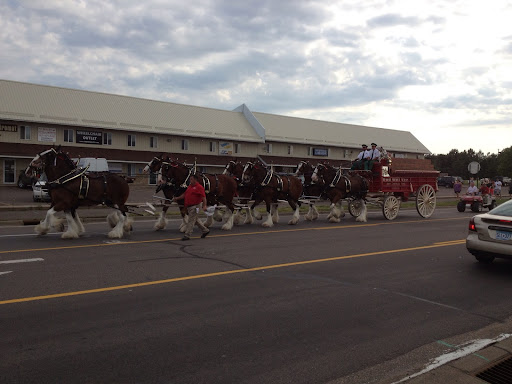 Auto Repair Shop «Precision Auto Repair», reviews and photos, 11110 61st St NE, Albertville, MN 55301, USA