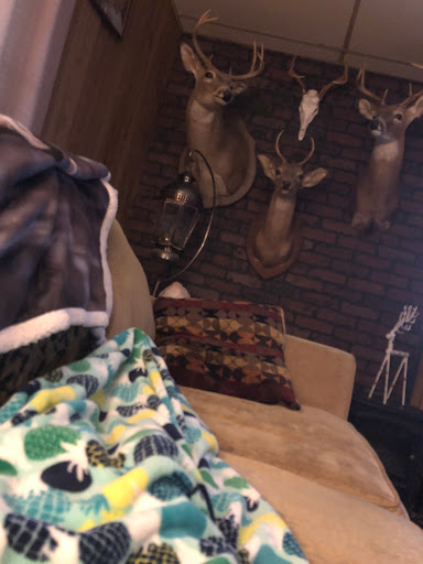 Pet Supply Store «Pet-Agree Grooming Supplies», reviews and photos, 6755 Shiloh Rd E #109, Alpharetta, GA 30005, USA