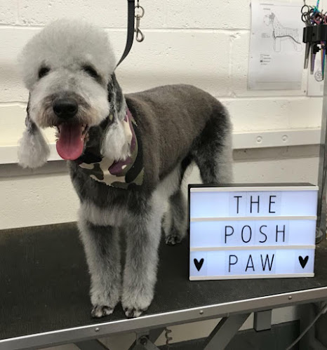 The Posh Paw Dog Grooming & Spa - Northampton