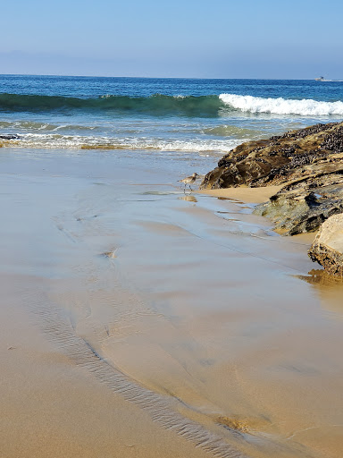 Park «Crystal Cove State Park Historic District», reviews and photos, 5 Crystal Cove & Newport Coast, Newport Beach, CA 92657, USA