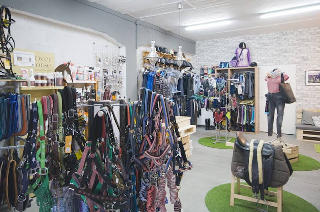 Paddok - Sklep jeździecki Kielce - Kielce