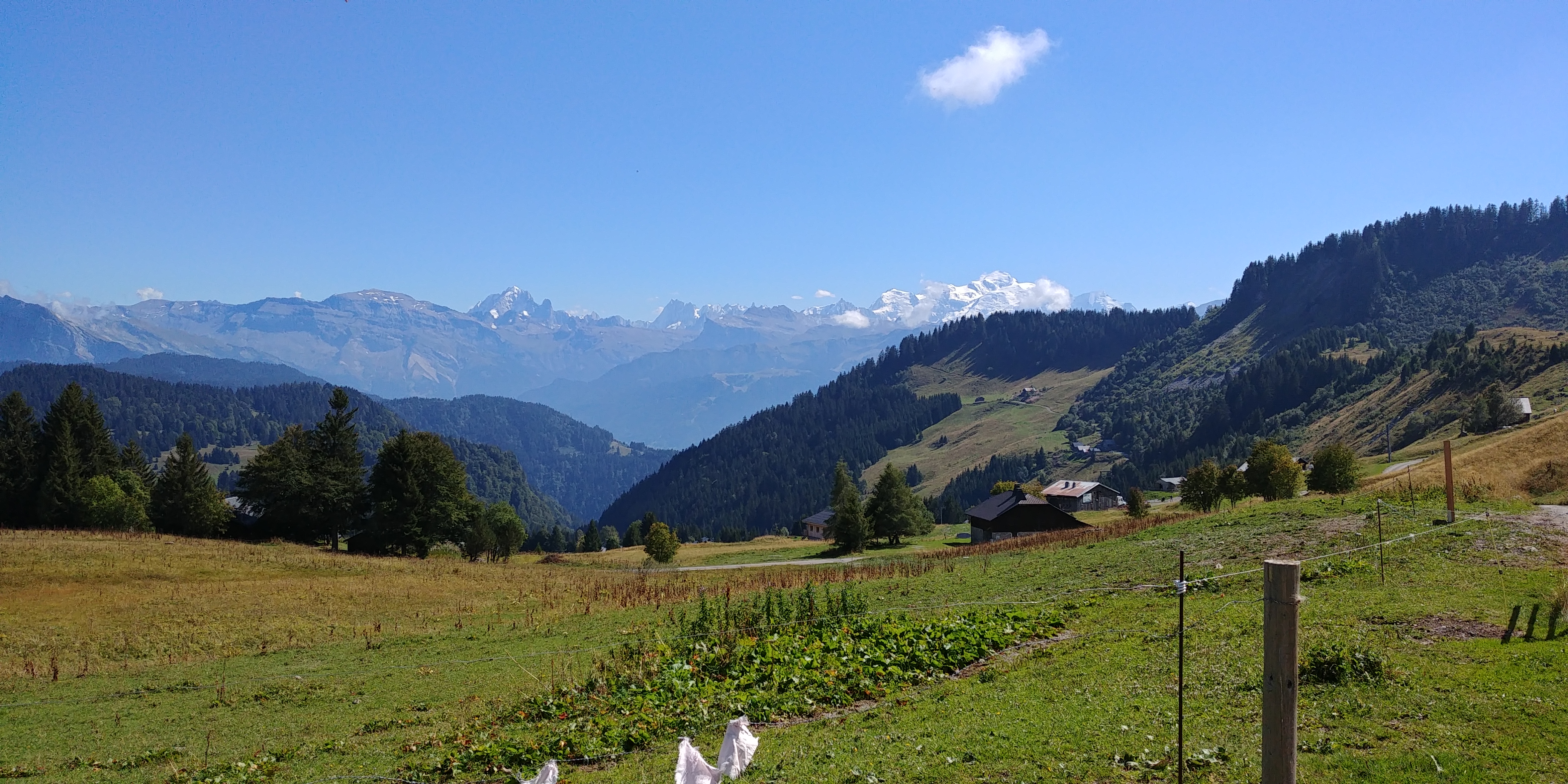 Photo n° 6 de l'avis de Monique.i fait le 25/08/2022 à 16:08