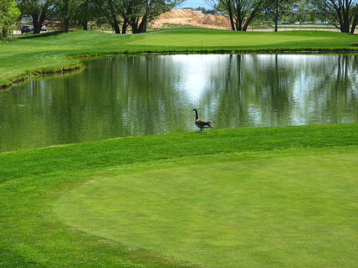 Public Golf Course «Swan Lakes Golf Course», reviews and photos, 850 N 2200 W, Layton, UT 84041, USA