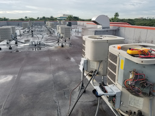 Park «Pine Island Park», reviews and photos, 320 S Pine Island Rd, Plantation, FL 33324, USA