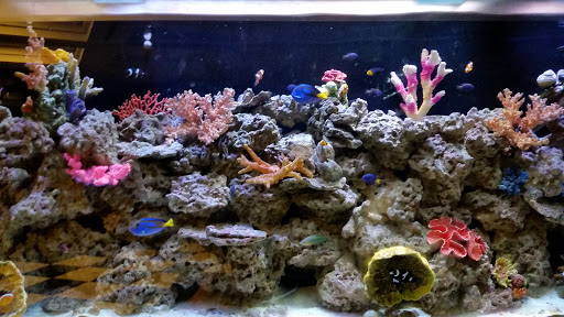 Bowling Alley «Strike 10 Bowling & Sports Lounge», reviews and photos, 801 Silks Run #1505, Hallandale Beach, FL 33009, USA