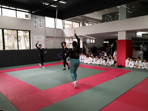 Judo Academy P. Falirou 