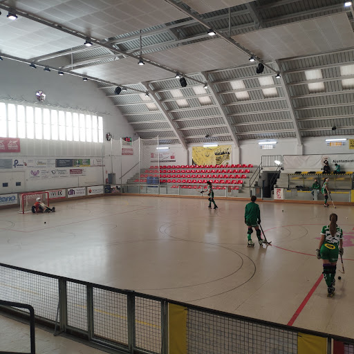 Hoquei Club Palau de Plegamans en Palau-solità i Plegamans, Barcelona