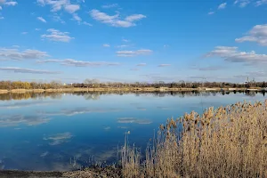Omszki-tó image