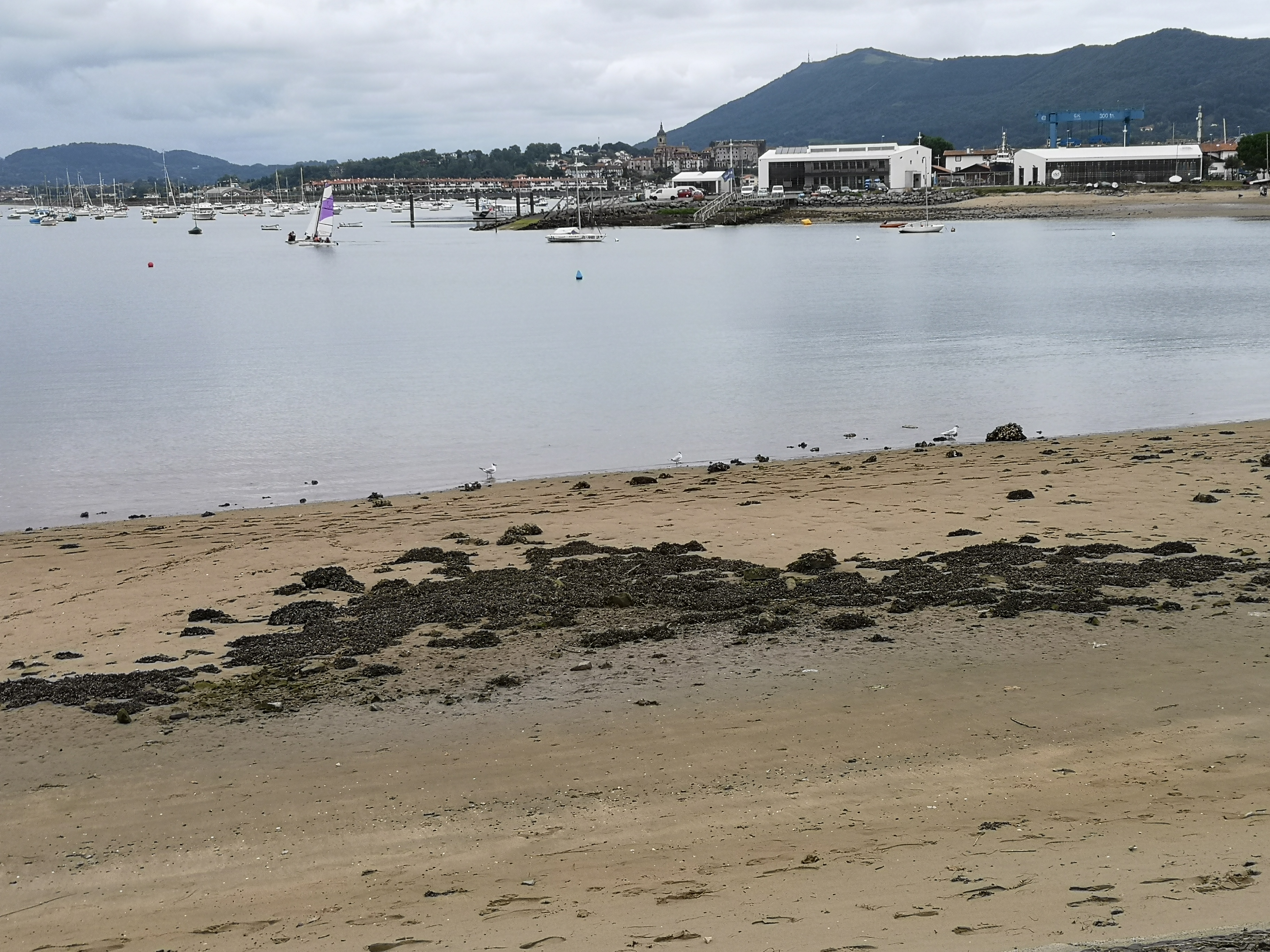 Photo n° 8 de l'avis de Íngrid.a fait le 14/08/2021 à 06:53