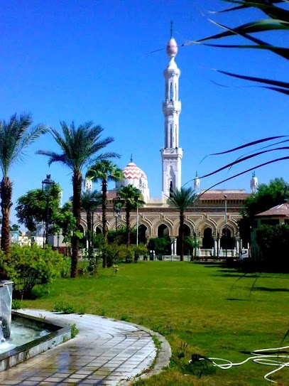 جامع سيدي عبدالرحيم القناوي
