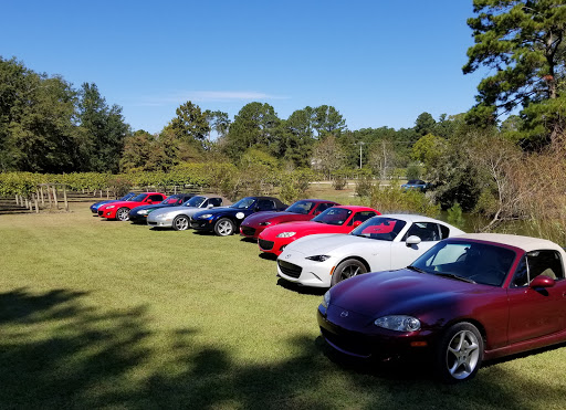 Vineyard «La Belle Amie Vineyard», reviews and photos, 1120 St Joseph Rd, Little River, SC 29566, USA