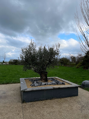 Arbre'Passion à Verchain-Maugré