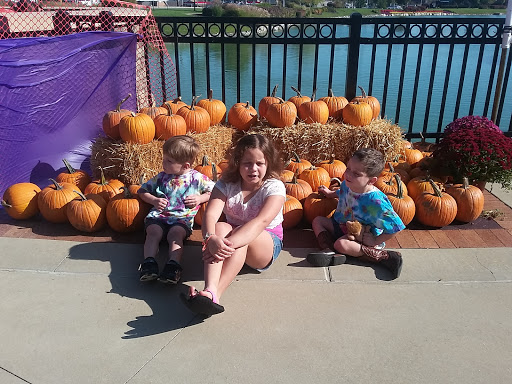 Mexican Restaurant «QDOBA Mexican Eats», reviews and photos, 1082 Town and Country Crossing Dr, Town and Country, MO 63017, USA