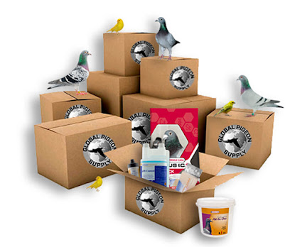 Global Pigeon Supplies