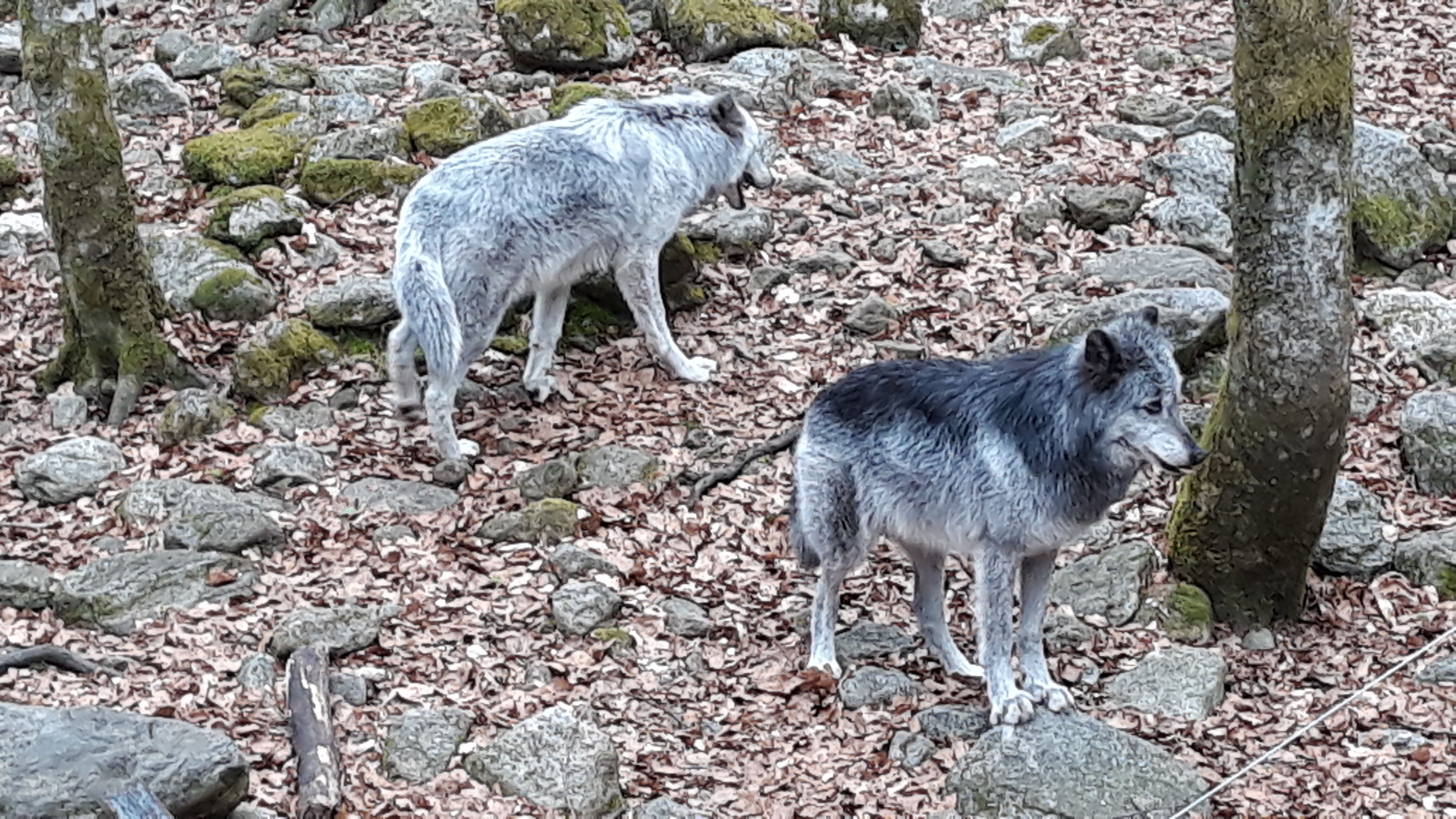 Photo n° 13 de l'avis de Anne.a fait le 24/04/2019 à 15:11